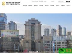 中国中丝集团有限公司